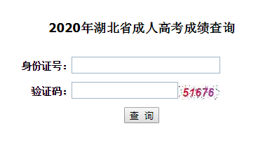 2020年湖北武漢成人高考成績(jī)查詢?nèi)肟冢ㄒ验_通）