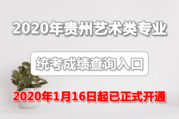 2020年貴州藝考成績查詢系統(tǒng)入口已開通（附合格分數(shù)線）