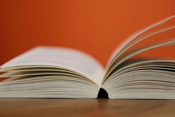 高考滿分作文600字：人生如書，逐級而讀圖3