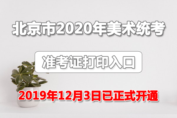 北京市2020年美術(shù)統(tǒng)考準(zhǔn)考證打印入口【12月3日已正式開(kāi)通】圖1