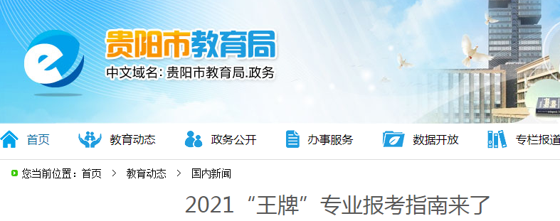 2021高考“王牌”專業(yè)報(bào)考指南
