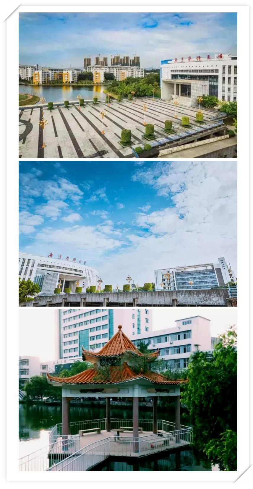 廣東醫(yī)科大學(xué)專插本招生計劃圖3