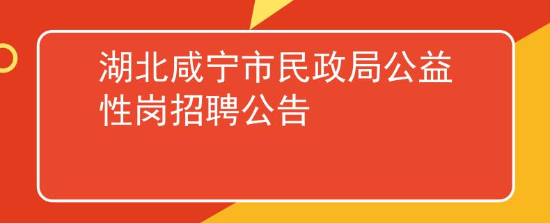 湖北咸寧市民政局公益性崗招聘公告