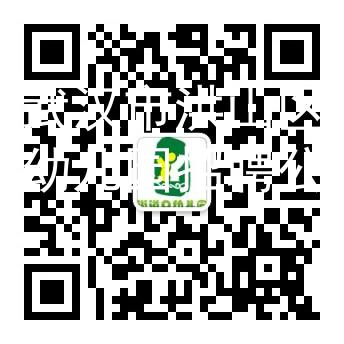 湖北武漢市洪山區(qū)兩所公辦幼兒園招聘公告