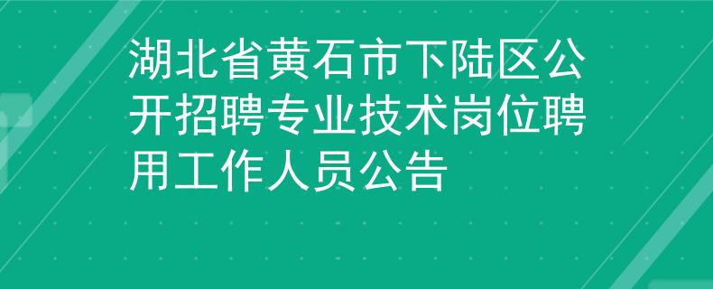 湖北省黃石市下陸區(qū)公開招聘專業(yè)技術崗位聘用工作人員公告
