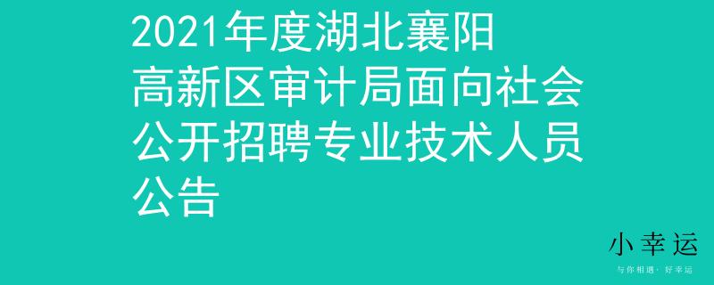 2021年度湖北襄陽(yáng)高新區(qū)審計(jì)局面向社會(huì)公開(kāi)招聘專(zhuān)業(yè)技術(shù)人員公告