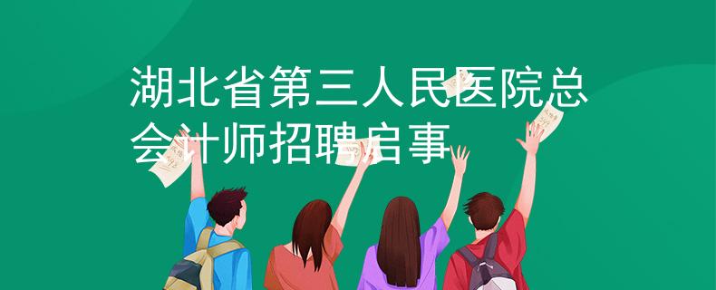 湖北省第三人民醫(yī)院總會計師招聘啟事