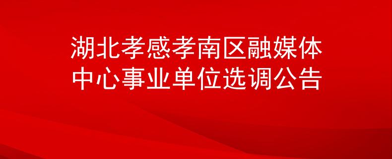 湖北孝感孝南區(qū)融媒體中心事業(yè)單位選調(diào)公告