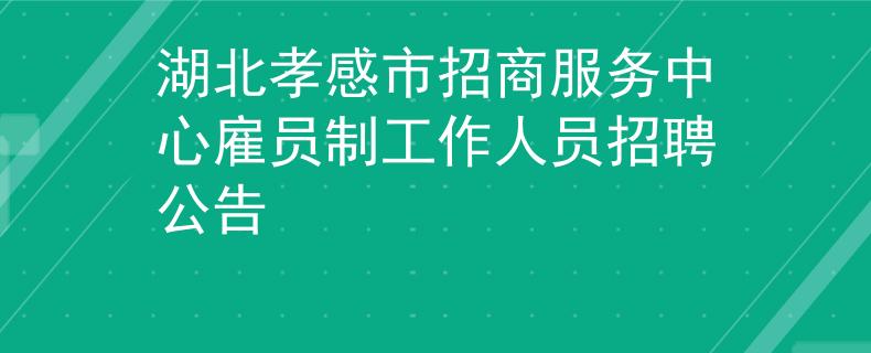 湖北孝感市招商服務(wù)中心雇員制工作人員招聘公告