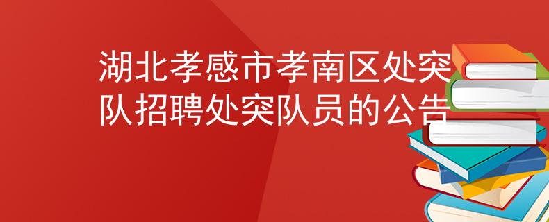 湖北孝感市孝南區(qū)處突隊(duì)招聘處突隊(duì)員的公告