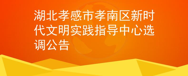 湖北孝感市孝南區(qū)新時代文明實踐指導(dǎo)中心選調(diào)公告