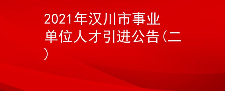2021年漢川市事業(yè)單位人才引進(jìn)公告(二)