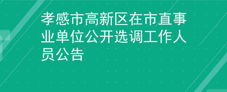 孝感市高新區(qū)在市直事業(yè)單位公開選調(diào)工作人員公告