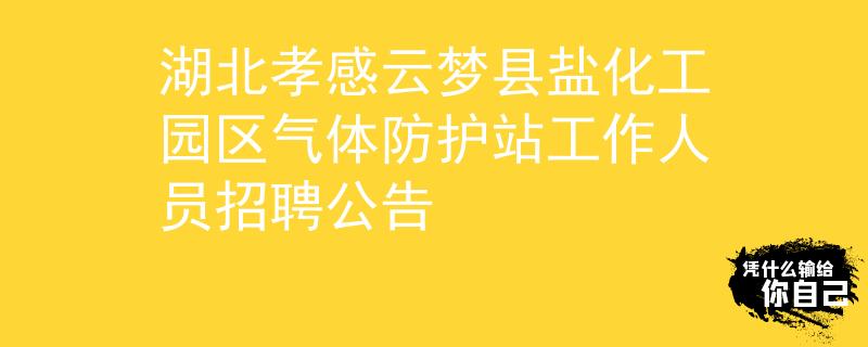 湖北孝感云夢(mèng)縣鹽化工園區(qū)氣體防護(hù)站工作人員招聘公告