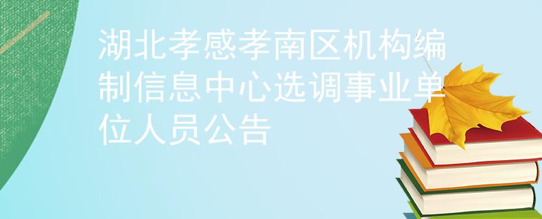 湖北孝感孝南區(qū)機(jī)構(gòu)編制信息中心選調(diào)事業(yè)單位人員公告