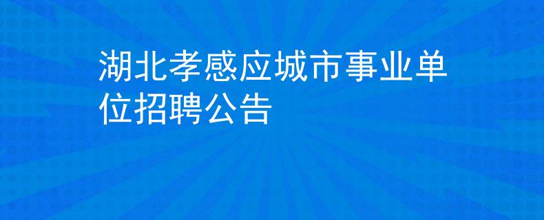 湖北孝感應(yīng)城市事業(yè)單位招聘公告