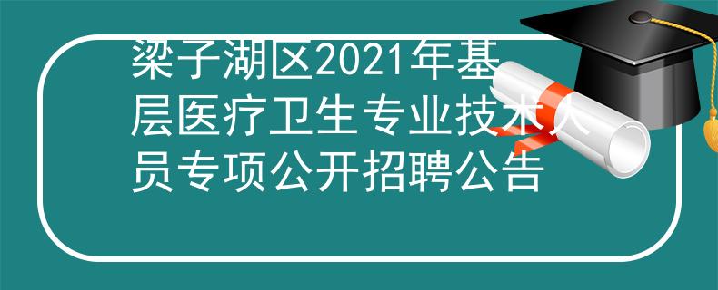 梁子湖區(qū)2021年基層醫(yī)療衛(wèi)生專業(yè)技術(shù)人員專項公開招聘公告