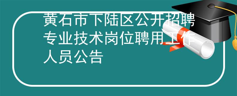 黃石市下陸區(qū)公開招聘專業(yè)技術(shù)崗位聘用工作人員公告
