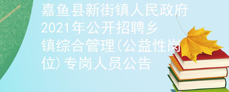 嘉魚(yú)縣新街鎮(zhèn)人民政府2021年公開(kāi)招聘鄉(xiāng)鎮(zhèn)綜合管理(公益性崗位)專崗人員公告