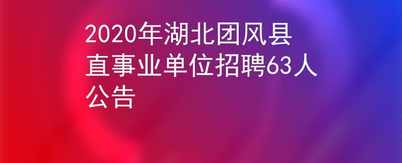 2020年湖北團風(fēng)縣直事業(yè)單位招聘63人公告