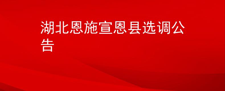 湖北恩施宣恩縣選調公告