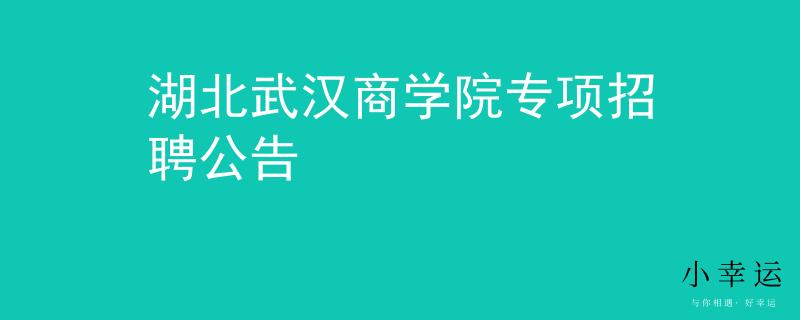 湖北武漢商學院專項招聘公告