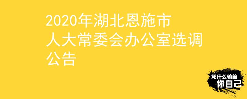2020年湖北恩施市人大常委會辦公室選調(diào)公告