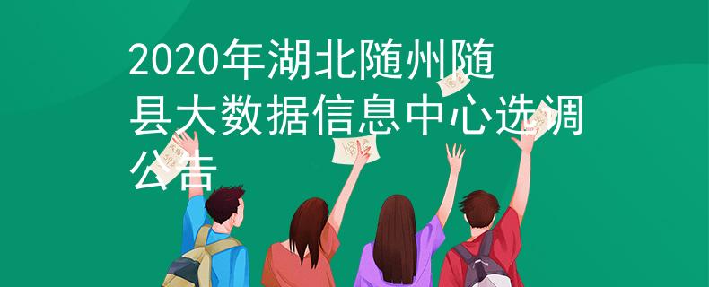 2020年湖北隨州隨縣大數(shù)據(jù)信息中心選調(diào)公告