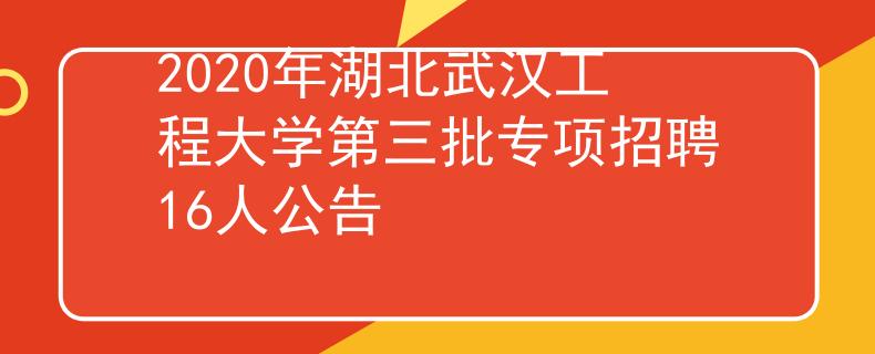 2020年湖北武漢工程大學第三批專項招聘16人公告
