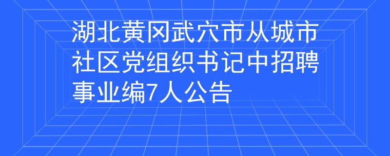 湖北黃岡武穴市從城市社區(qū)黨組織書記中招聘事業(yè)編7人公告