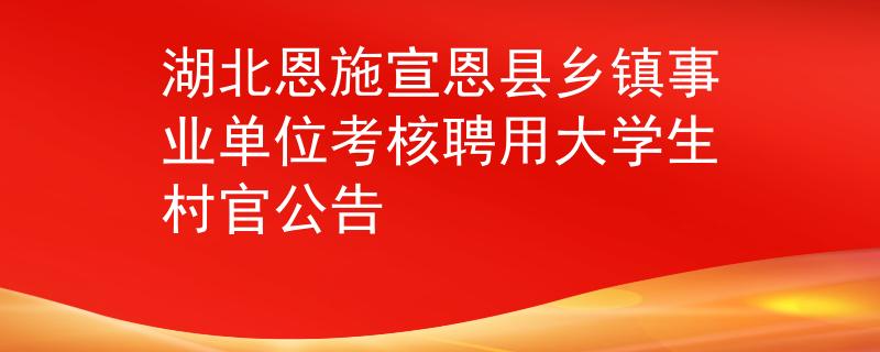 湖北恩施宣恩縣鄉(xiāng)鎮(zhèn)事業(yè)單位考核聘用大學(xué)生村官公告