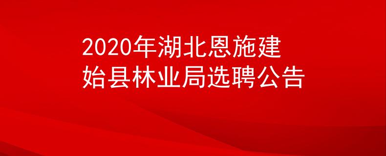 2020年湖北恩施建始縣林業(yè)局選聘公告