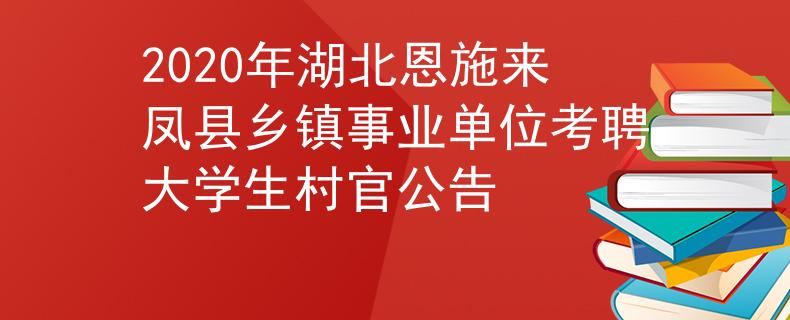 2020年湖北恩施來鳳縣鄉(xiāng)鎮(zhèn)事業(yè)單位考聘大學(xué)生村官公告