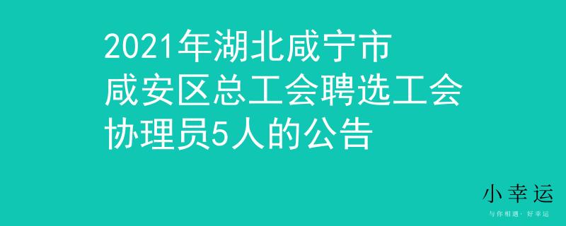 2021年湖北咸寧市咸安區(qū)總工會聘選工會協(xié)理員5人的公告