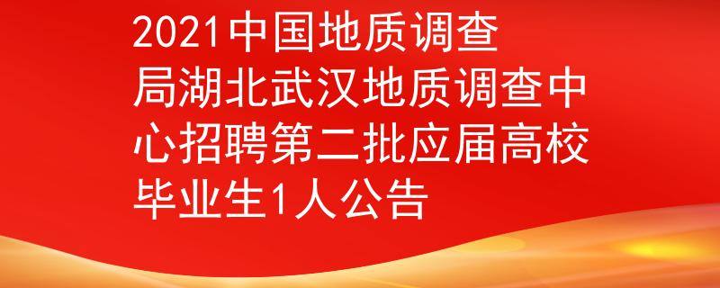 2021中國(guó)地質(zhì)調(diào)查局湖北武漢地質(zhì)調(diào)查中心招聘第二批應(yīng)屆高校畢業(yè)生1人公告