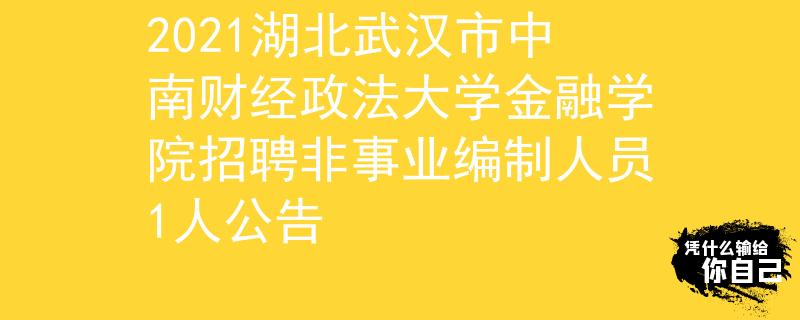 2021湖北武漢市中南財(cái)經(jīng)政法大學(xué)金融學(xué)院招聘非事業(yè)編制人員1人公告