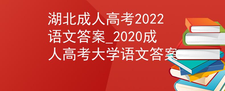 湖北成人高考2022語文答案_2020成人高考大學(xué)語文答案