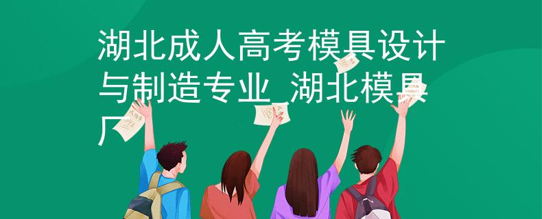 湖北成人高考模具設(shè)計與制造專業(yè)_湖北模具廠