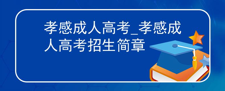 孝感成人高考_孝感成人高考招生簡章