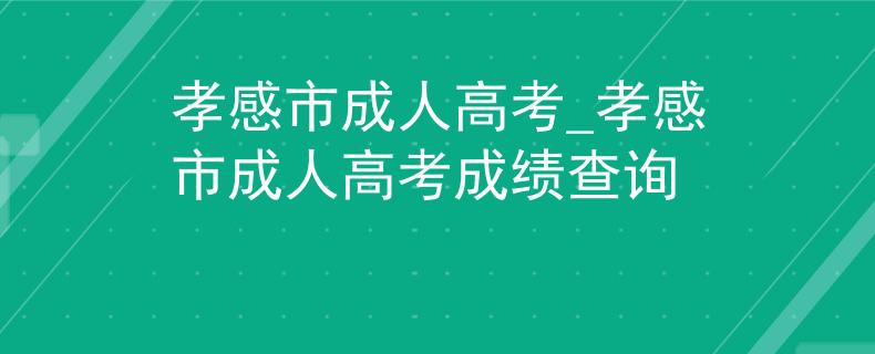 孝感市成人高考_孝感市成人高考成績(jī)查詢