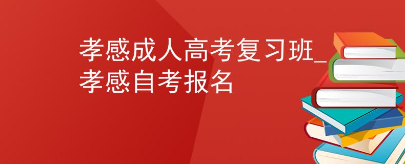孝感成人高考復(fù)習(xí)班_孝感自考報名