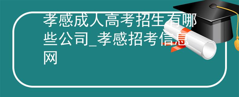 孝感成人高考招生有哪些公司_孝感招考信息網(wǎng)