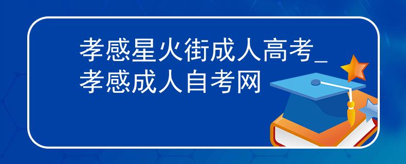 孝感星火街成人高考_孝感成人自考網(wǎng)