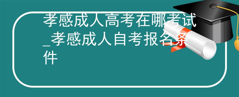 孝感成人高考在哪考試_孝感成人自考報(bào)名條件 孝感成人高考在哪考試_孝感成人自考報(bào)名條件