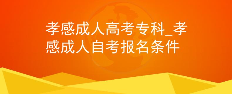 孝感成人高考?？芲孝感成人自考報名條件