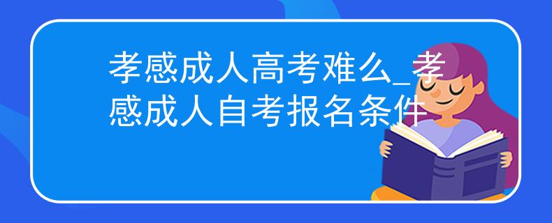 孝感成人高考難么_孝感成人自考報名條件