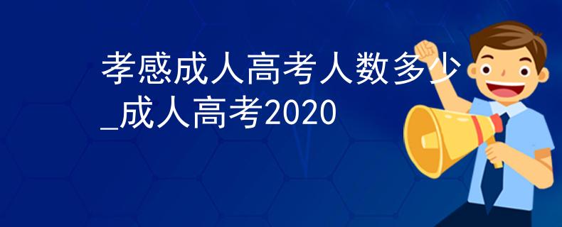 孝感成人高考人數(shù)多少_成人高考2020
