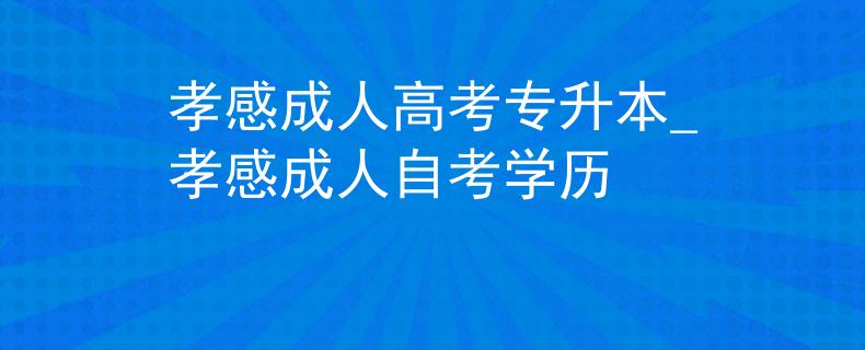 孝感成人高考專升本_孝感成人自考學歷