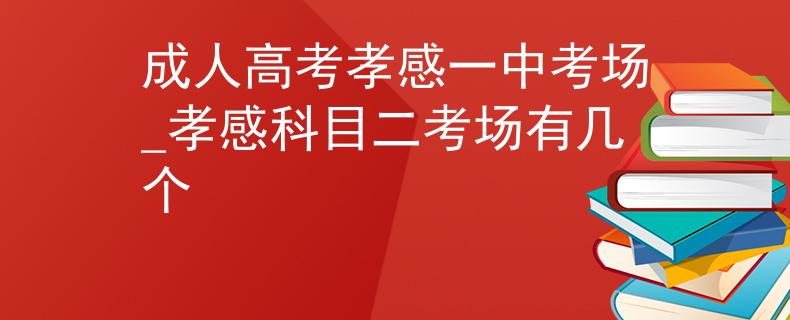 成人高考孝感一中考場_孝感科目二考場有幾個(gè)