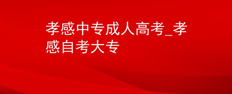 孝感中專成人高考_孝感自考大專